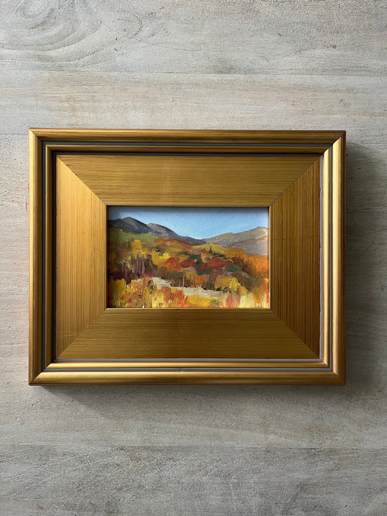 "Fall Colors on Trapper's Loop"